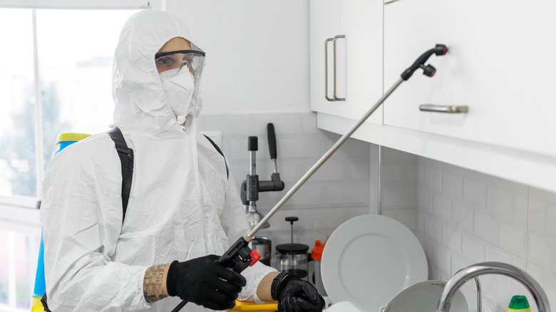 شركة رش مبيدات بمحايل عسير